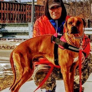 Meet your Posher, Pasquale